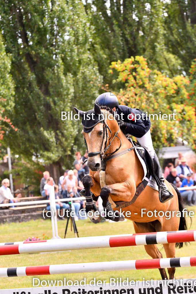 Goldene Schärpe Ponys in Hohenberg Krusemark 2024 | 14072024 Springen 2Abt_333 