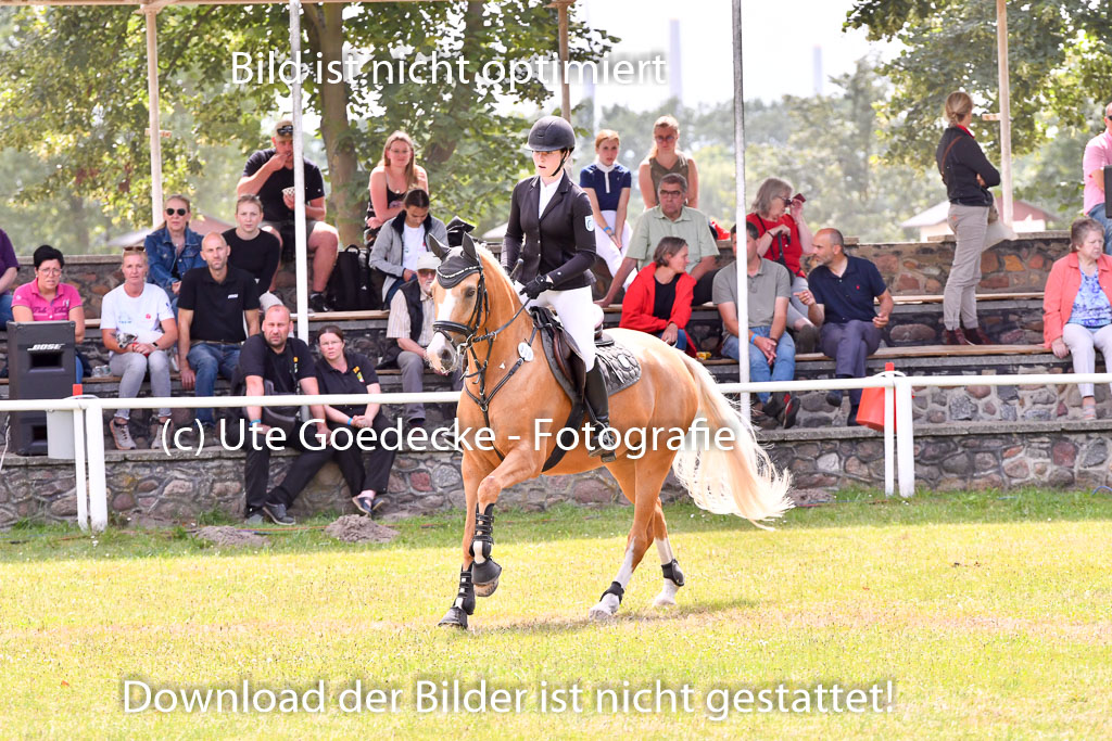 Goldene Schärpe Ponys in Hohenberg Krusemark 2024 | 14072024 Springen 2Abt_335 