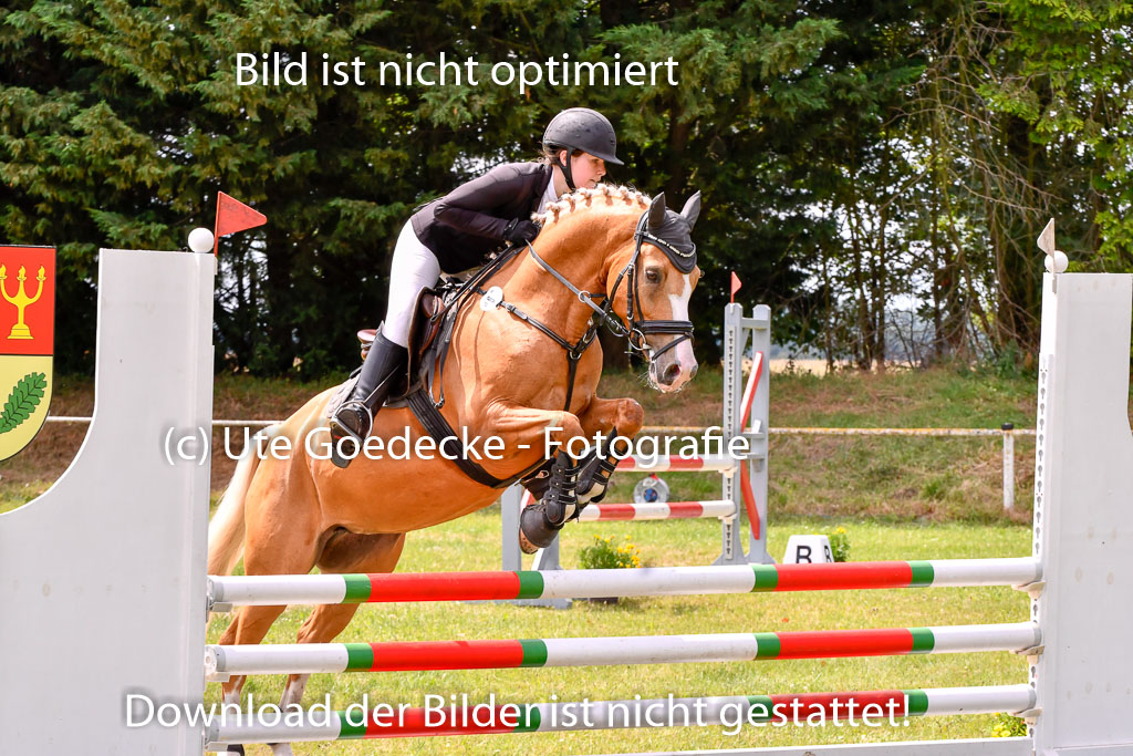 Goldene Schärpe Ponys in Hohenberg Krusemark 2024 | 14072024 Springen 2Abt_337 