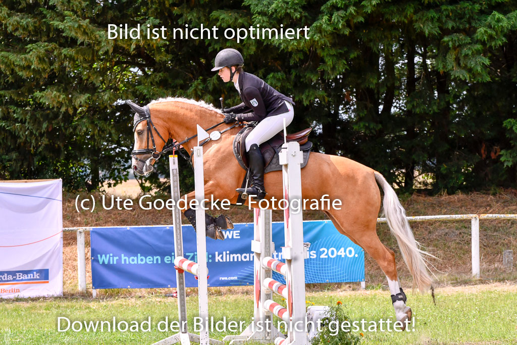 Goldene Schärpe Ponys in Hohenberg Krusemark 2024 | 14072024 Springen 2Abt_339 