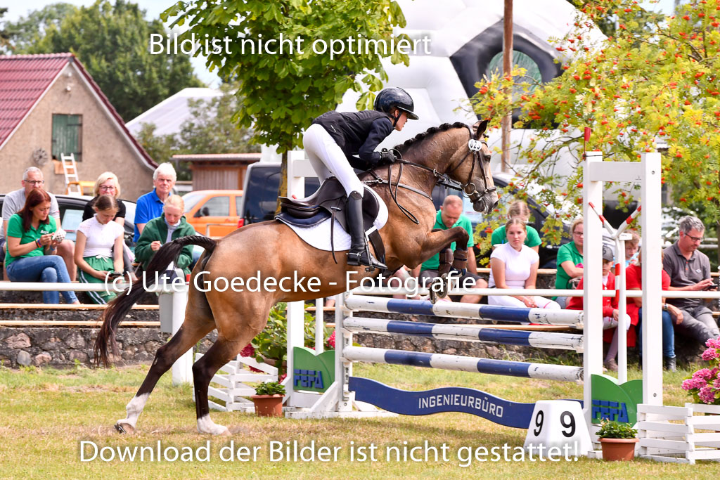 Goldene Schärpe Ponys in Hohenberg Krusemark 2024 | 14072024 Springen 2Abt_370 