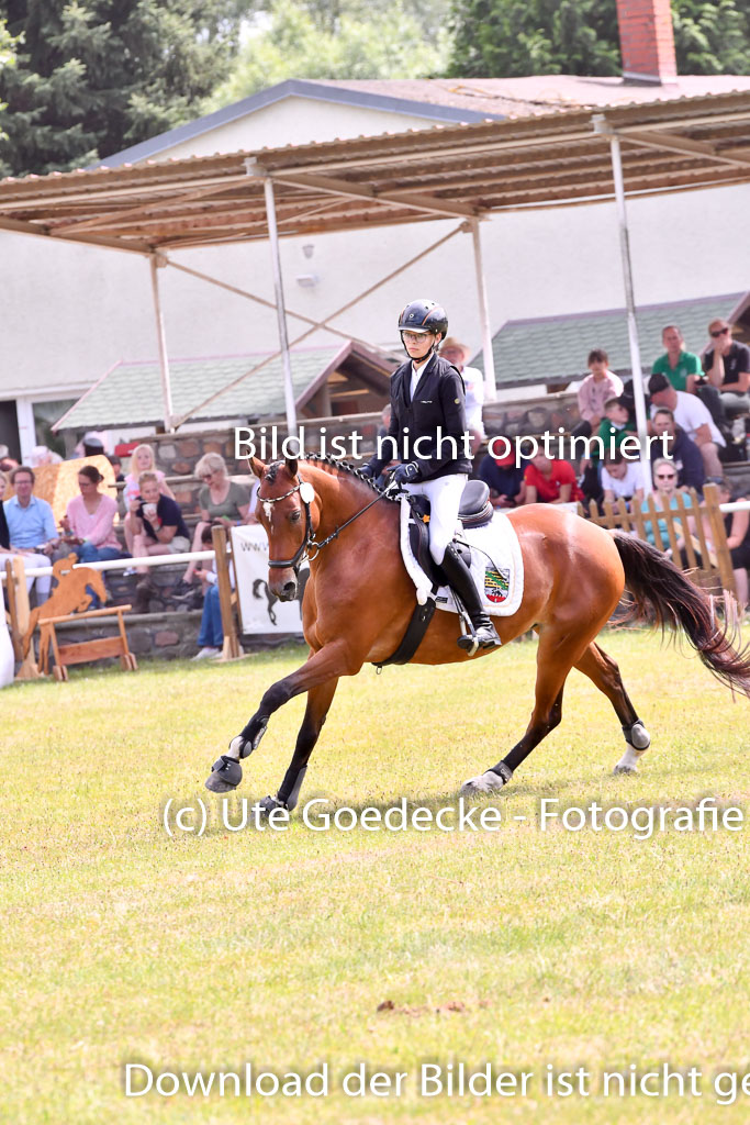 Goldene Schärpe Ponys in Hohenberg Krusemark 2024 | 14072024 Springen 2Abt_376 