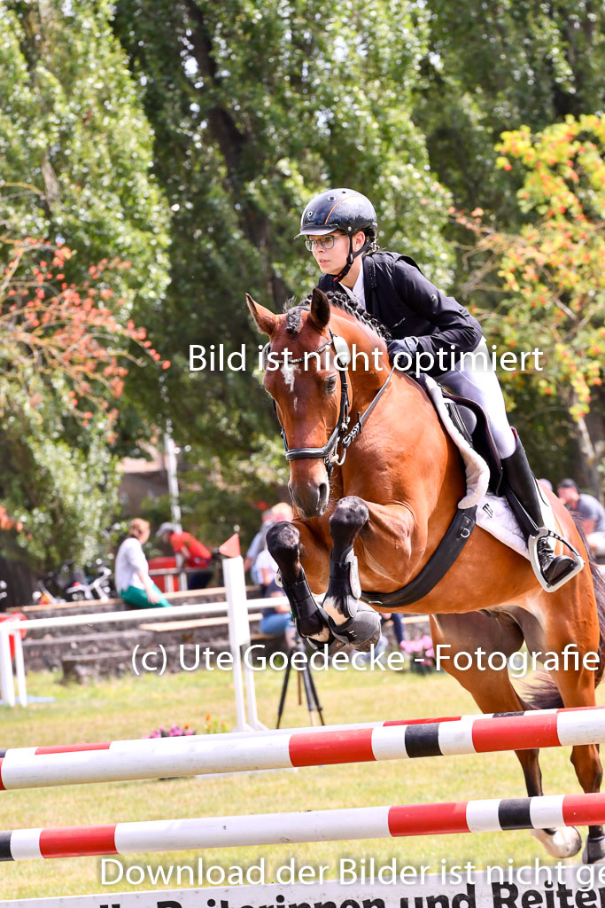 Goldene Schärpe Ponys in Hohenberg Krusemark 2024 | 14072024 Springen 2Abt_379 