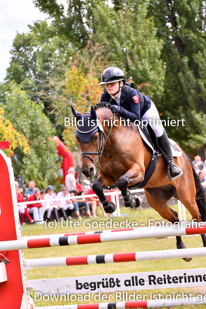 Goldene Schärpe Ponys in Hohenberg Krusemark 2024 | 14072024 Springen 2Abt_392 