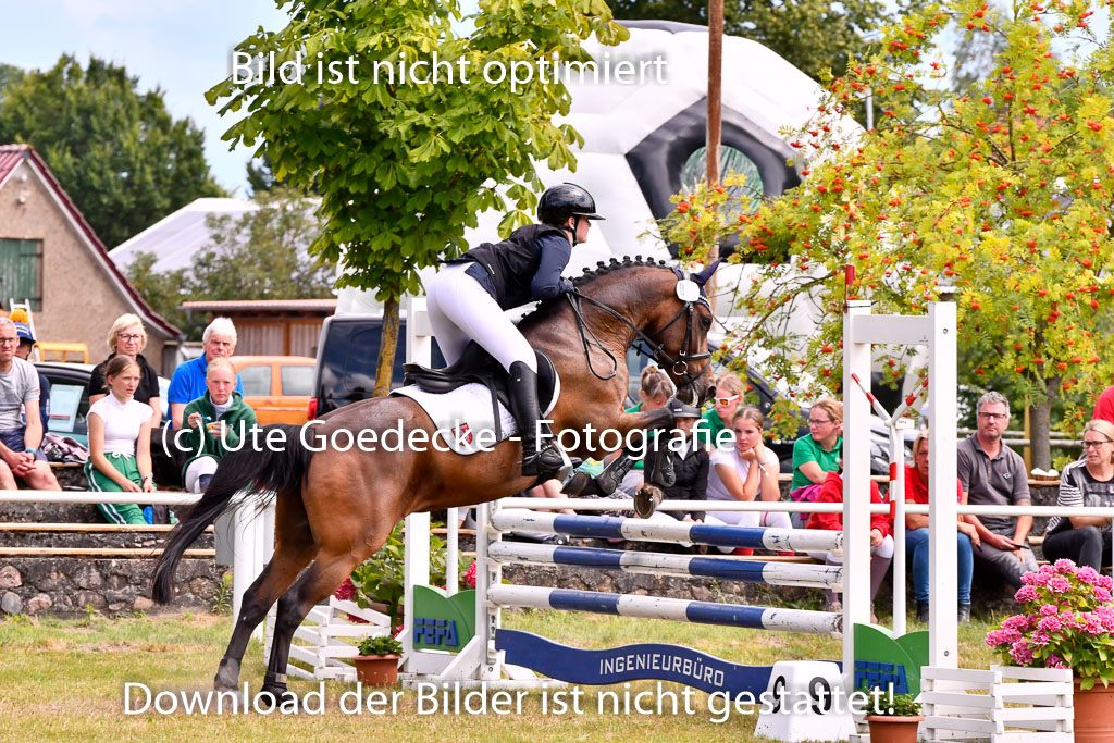 Goldene Schärpe Ponys in Hohenberg Krusemark 2024 | 14072024 Springen 2Abt_393 