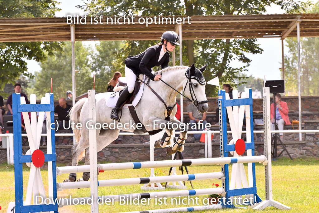 Goldene Schärpe Ponys in Hohenberg Krusemark 2024 | 14072024 Springen 2Abt_395 