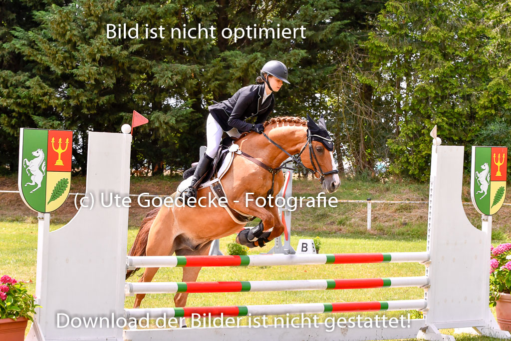 Goldene Schärpe Ponys in Hohenberg Krusemark 2024 | 14072024 Springen 2Abt_410 