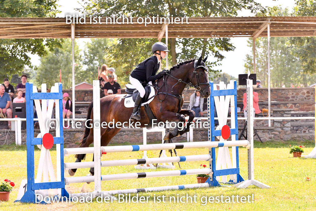 Goldene Schärpe Ponys in Hohenberg Krusemark 2024 | 14072024 Springen 2Abt_416 