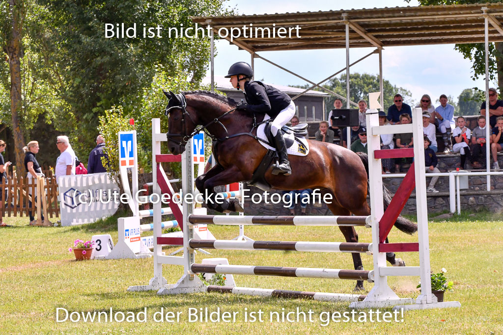 Goldene Schärpe Ponys in Hohenberg Krusemark 2024 | 14072024 Springen 2Abt_417 