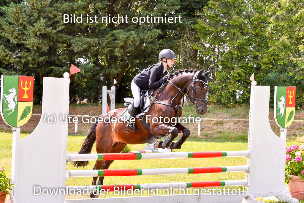 Goldene Schärpe Ponys in Hohenberg Krusemark 2024 | 14072024 Springen 2Abt_418 