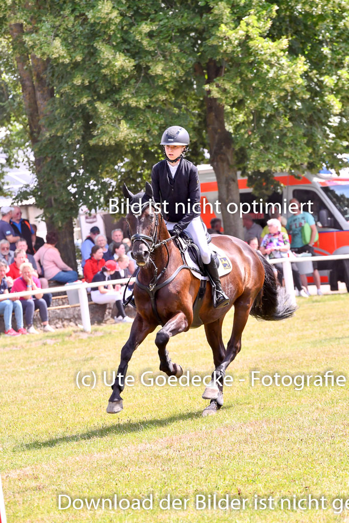 Goldene Schärpe Ponys in Hohenberg Krusemark 2024 | 14072024 Springen 2Abt_420 