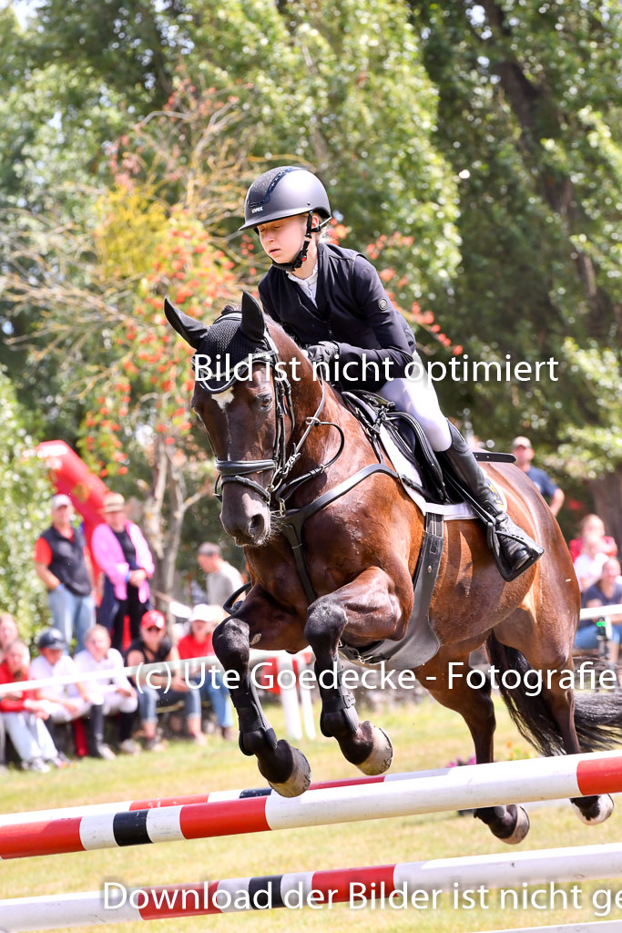 Goldene Schärpe Ponys in Hohenberg Krusemark 2024 | 14072024 Springen 2Abt_422 