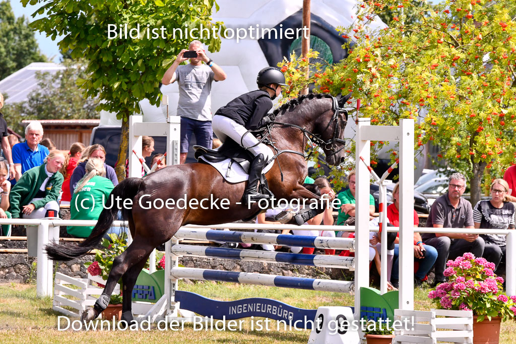 Goldene Schärpe Ponys in Hohenberg Krusemark 2024 | 14072024 Springen 2Abt_423 