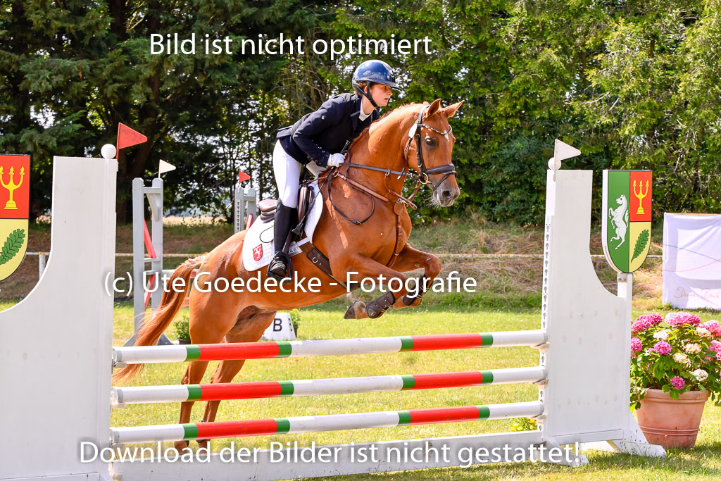 Goldene Schärpe Ponys in Hohenberg Krusemark 2024 | 14072024 Springen 2Abt_427 