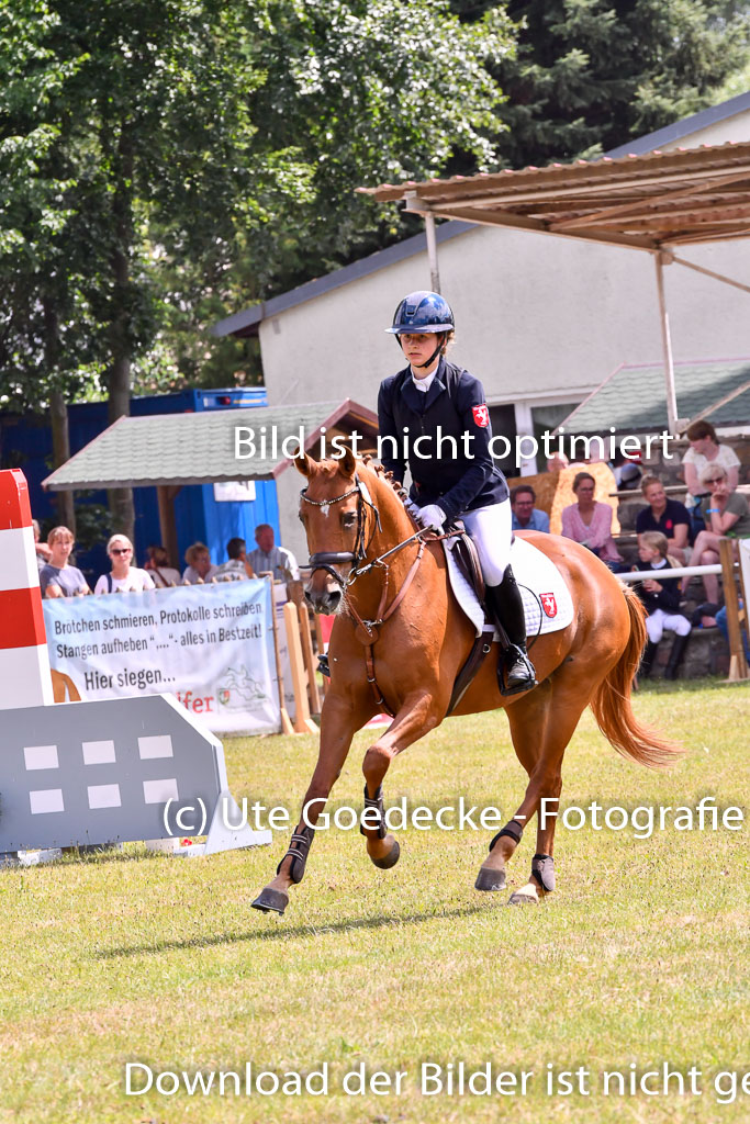 Goldene Schärpe Ponys in Hohenberg Krusemark 2024 | 14072024 Springen 2Abt_431 