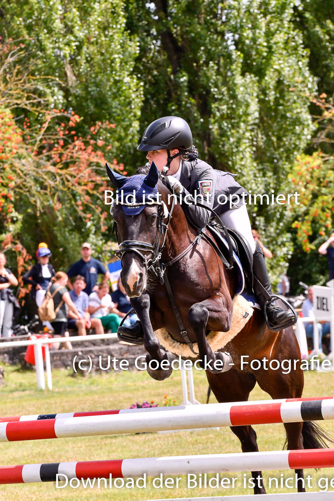 Goldene Schärpe Ponys in Hohenberg Krusemark 2024 | 14072024 Springen 2Abt_443 