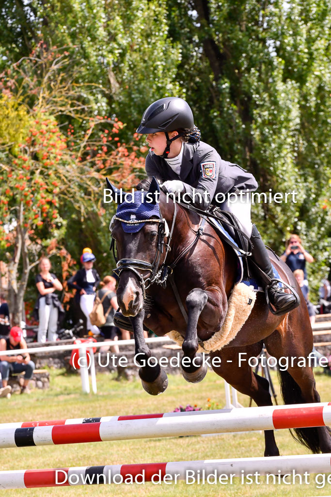 Goldene Schärpe Ponys in Hohenberg Krusemark 2024 | 14072024 Springen 2Abt_444 