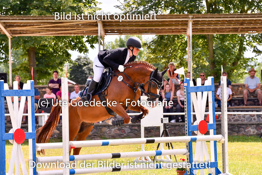 Goldene Schärpe Ponys in Hohenberg Krusemark 2024 | 14072024 Springen 2Abt_461 