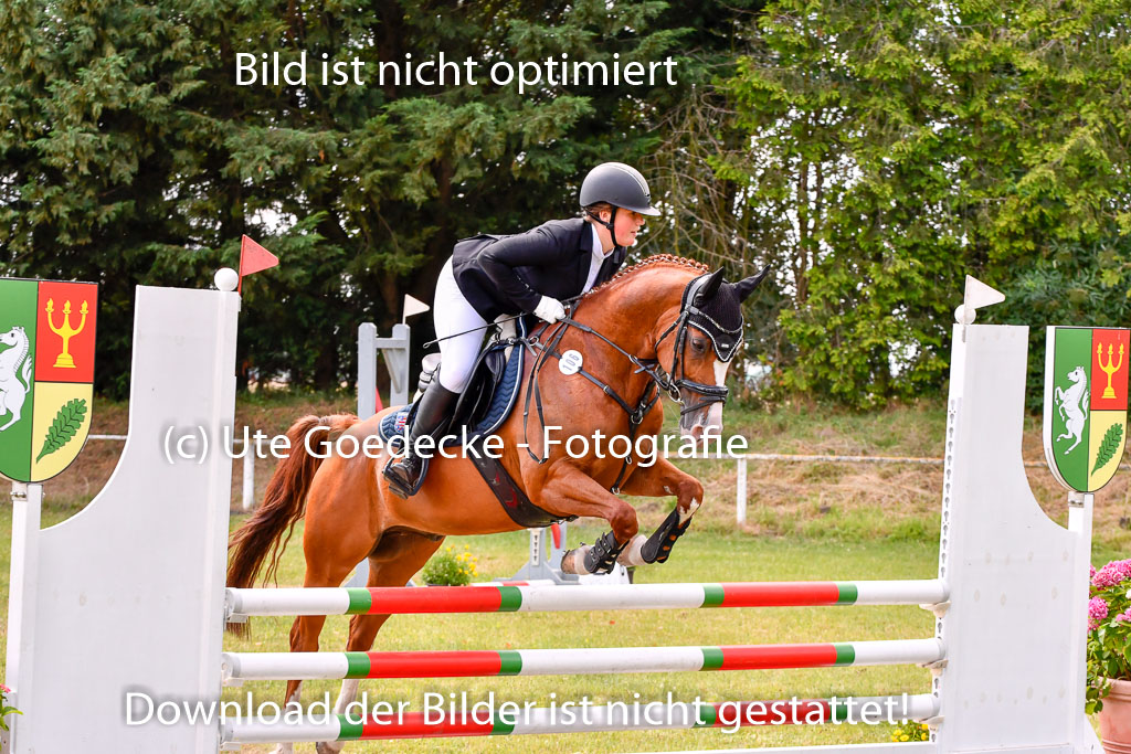 Goldene Schärpe Ponys in Hohenberg Krusemark 2024 | 14072024 Springen 2Abt_464 