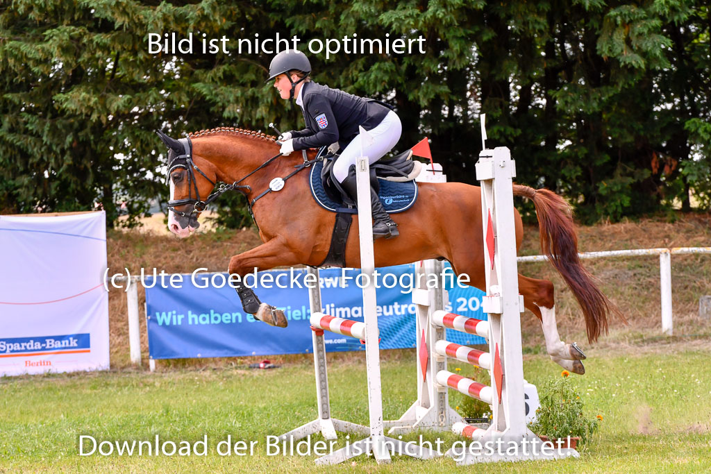 Goldene Schärpe Ponys in Hohenberg Krusemark 2024 | 14072024 Springen 2Abt_467 