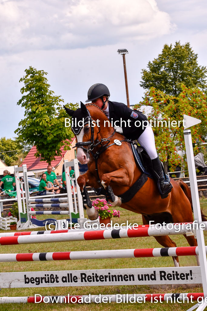 Goldene Schärpe Ponys in Hohenberg Krusemark 2024 | 14072024 Springen 2Abt_469 