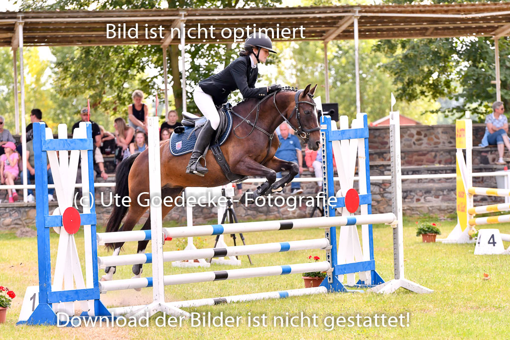 Goldene Schärpe Ponys in Hohenberg Krusemark 2024 | 14072024 Springen 2Abt_472 