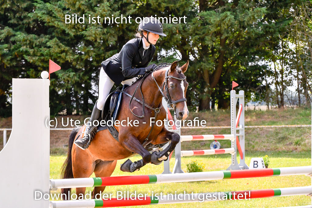 Goldene Schärpe Ponys in Hohenberg Krusemark 2024 | 14072024 Springen 2Abt_475 