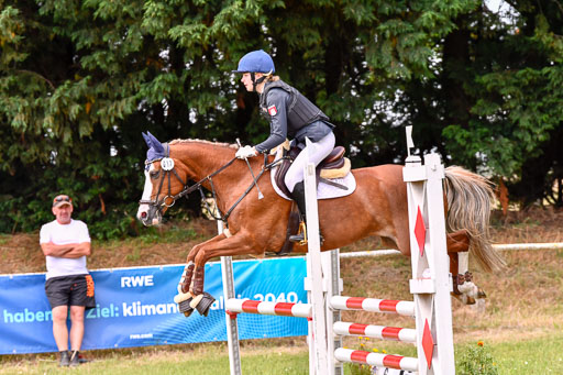 Goldene Schärpe Ponys in Hohenberg Krusemark 2024 | 14072024 Springen 2Abt_004 