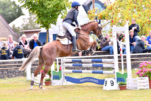 Goldene Schärpe Ponys in Hohenberg Krusemark 2024 | 14072024 Springen 2Abt_007 