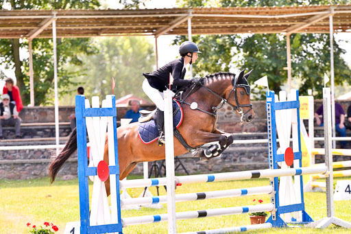 Goldene Schärpe Ponys in Hohenberg Krusemark 2024 | 14072024 Springen 2Abt_008 