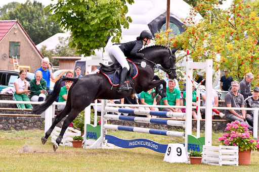 Goldene Schärpe Ponys in Hohenberg Krusemark 2024 | 14072024 Springen 2Abt_206 