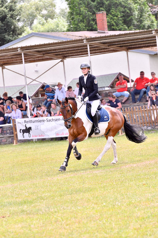 Goldene Schärpe Ponys in Hohenberg Krusemark 2024 | 14072024 Springen 2Abt_212 