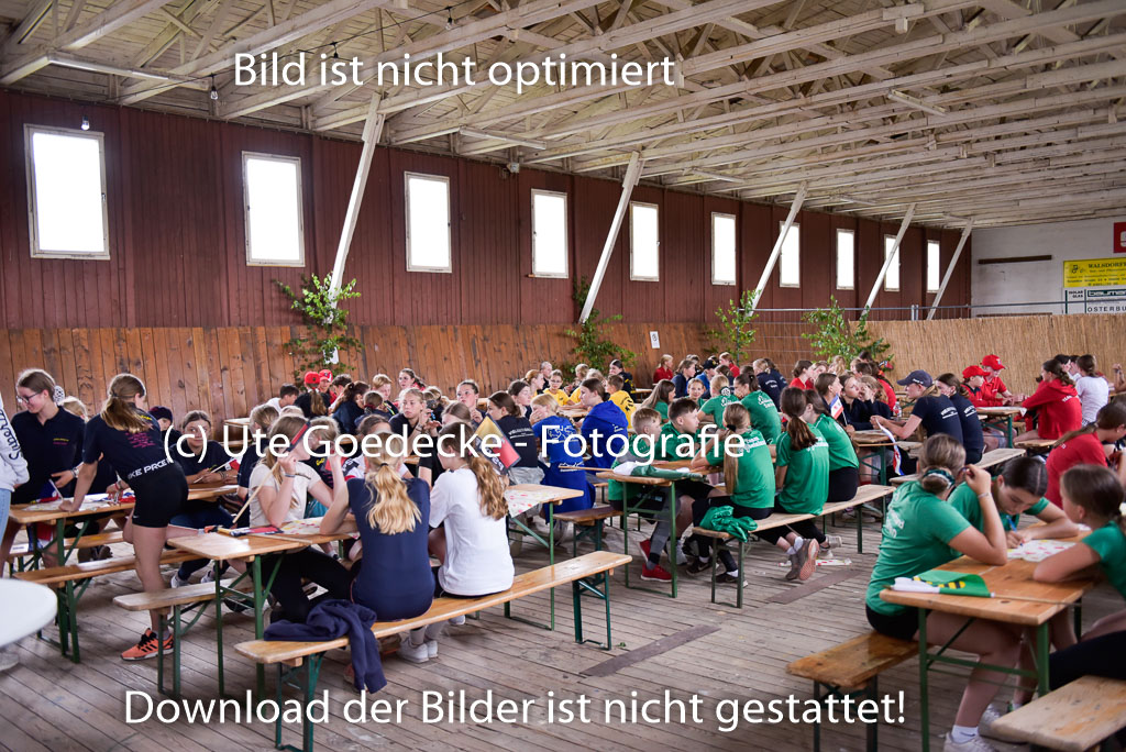 Goldene Schärpe Ponys in Hohenberg Krusemark 2024 | 13072024 Theorie
