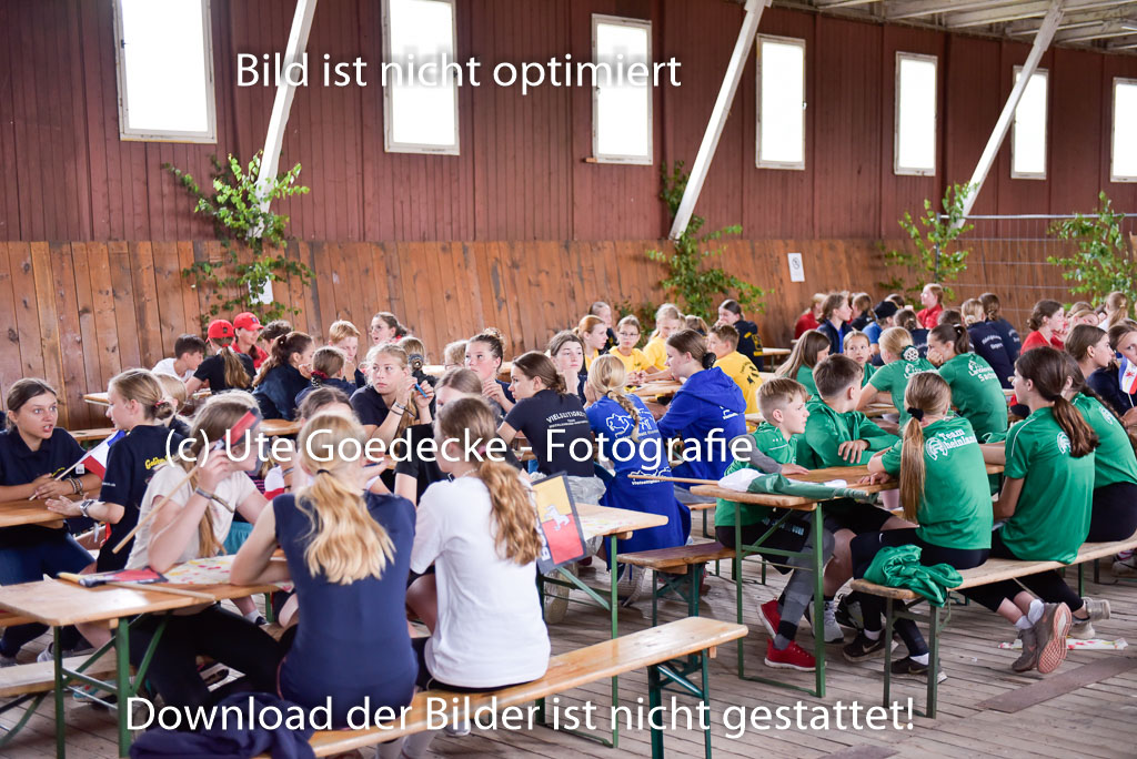 Goldene Schärpe Ponys in Hohenberg Krusemark 2024 | 13072024 Theorie_01