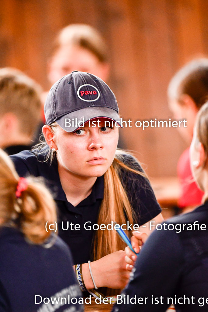 Goldene Schärpe Ponys in Hohenberg Krusemark 2024 | 13072024 Theorie_08