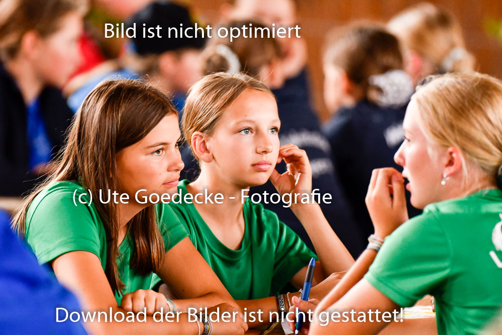Goldene Schärpe Ponys in Hohenberg Krusemark 2024 | 13072024 Theorie_09