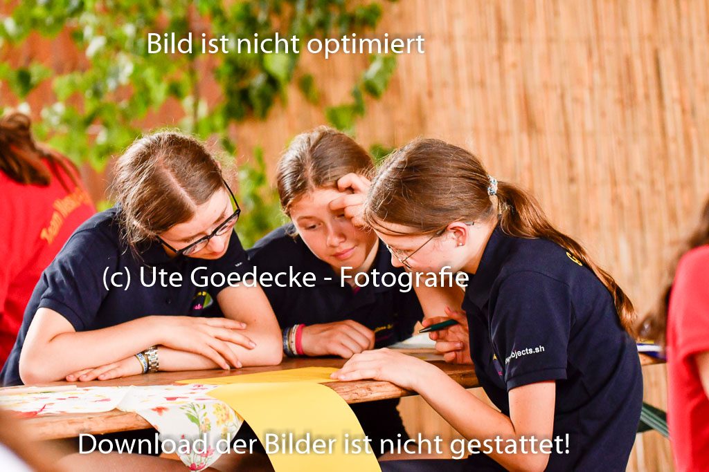 Goldene Schärpe Ponys in Hohenberg Krusemark 2024 | 13072024 Theorie_19