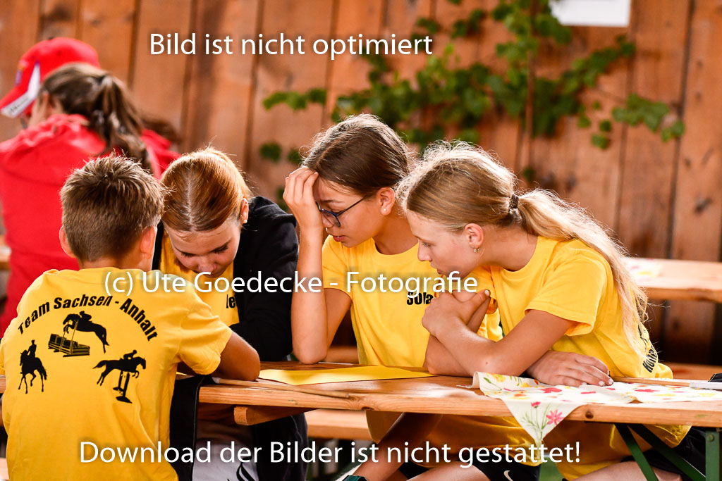 Goldene Schärpe Ponys in Hohenberg Krusemark 2024 | 13072024 Theorie_20
