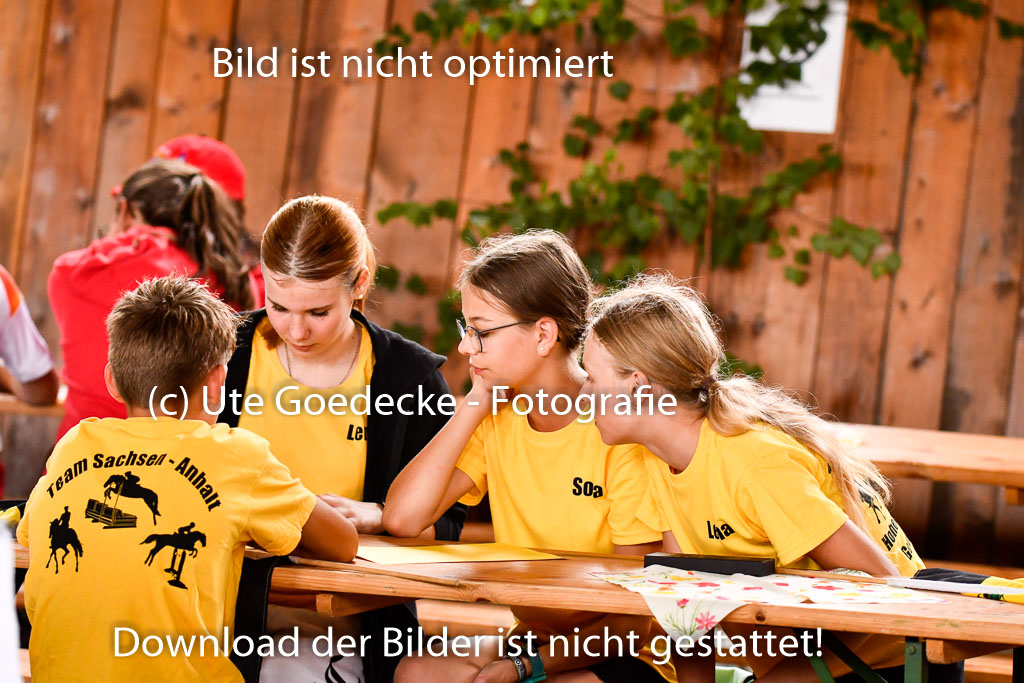 Goldene Schärpe Ponys in Hohenberg Krusemark 2024 | 13072024 Theorie_22