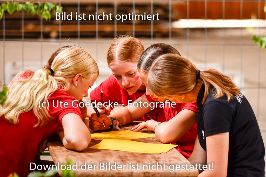 Goldene Schärpe Ponys in Hohenberg Krusemark 2024 | 13072024 Theorie_25