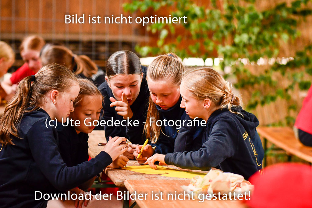 Goldene Schärpe Ponys in Hohenberg Krusemark 2024 | 13072024 Theorie_27