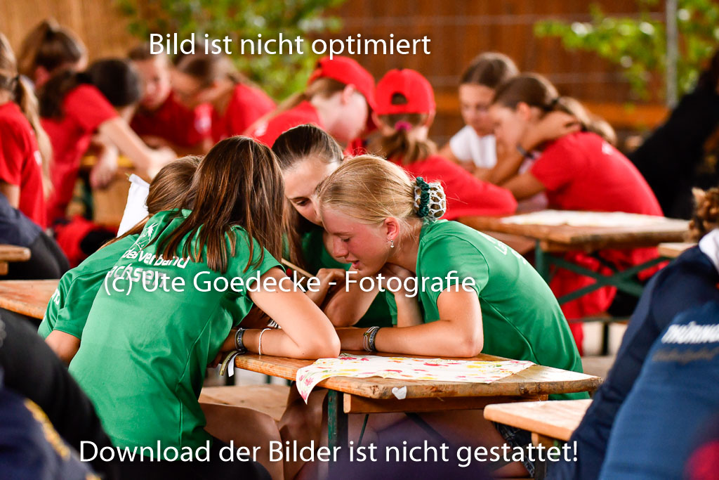 Goldene Schärpe Ponys in Hohenberg Krusemark 2024 | 13072024 Theorie_30