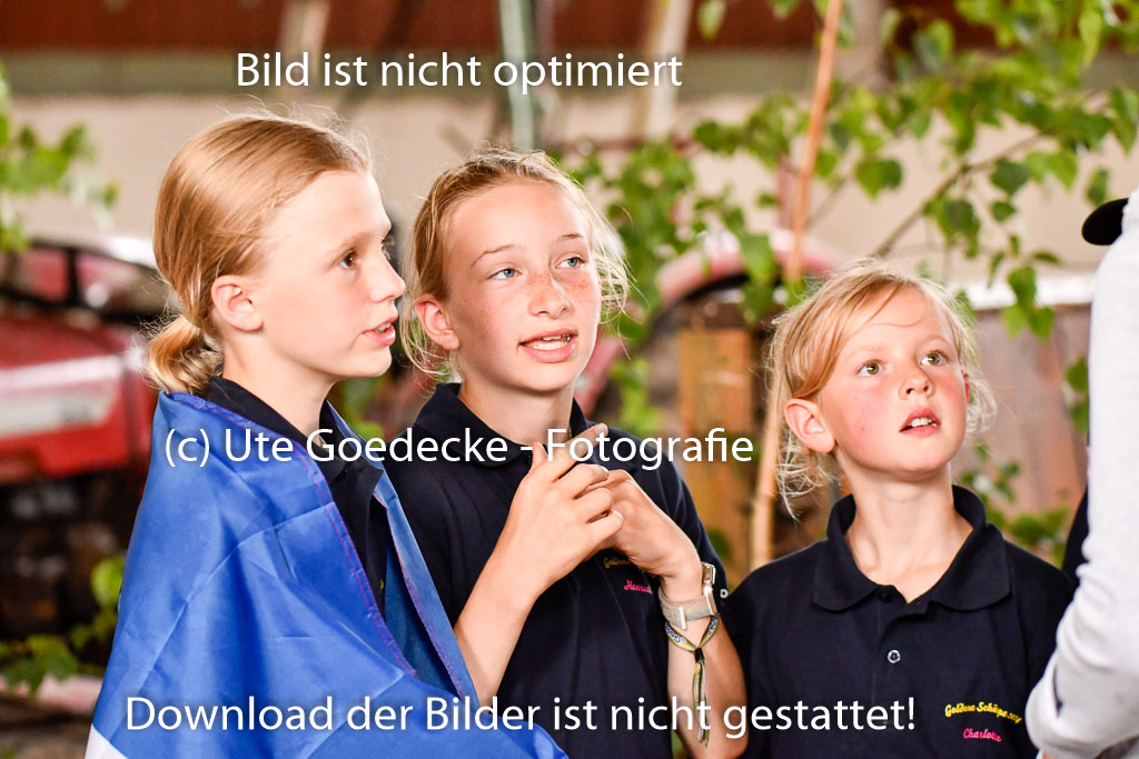 Goldene Schärpe Ponys in Hohenberg Krusemark 2024 | 13072024 Theorie_37