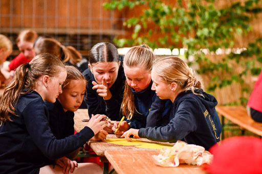 Goldene Schärpe Ponys in Hohenberg Krusemark 2024 | 13072024 Theorie_27 