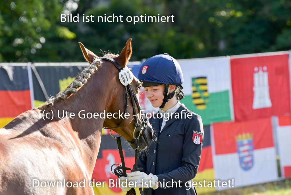 Goldene Schärpe Ponys in Hohenberg Krusemark 2024 | 14072024 Vormustern