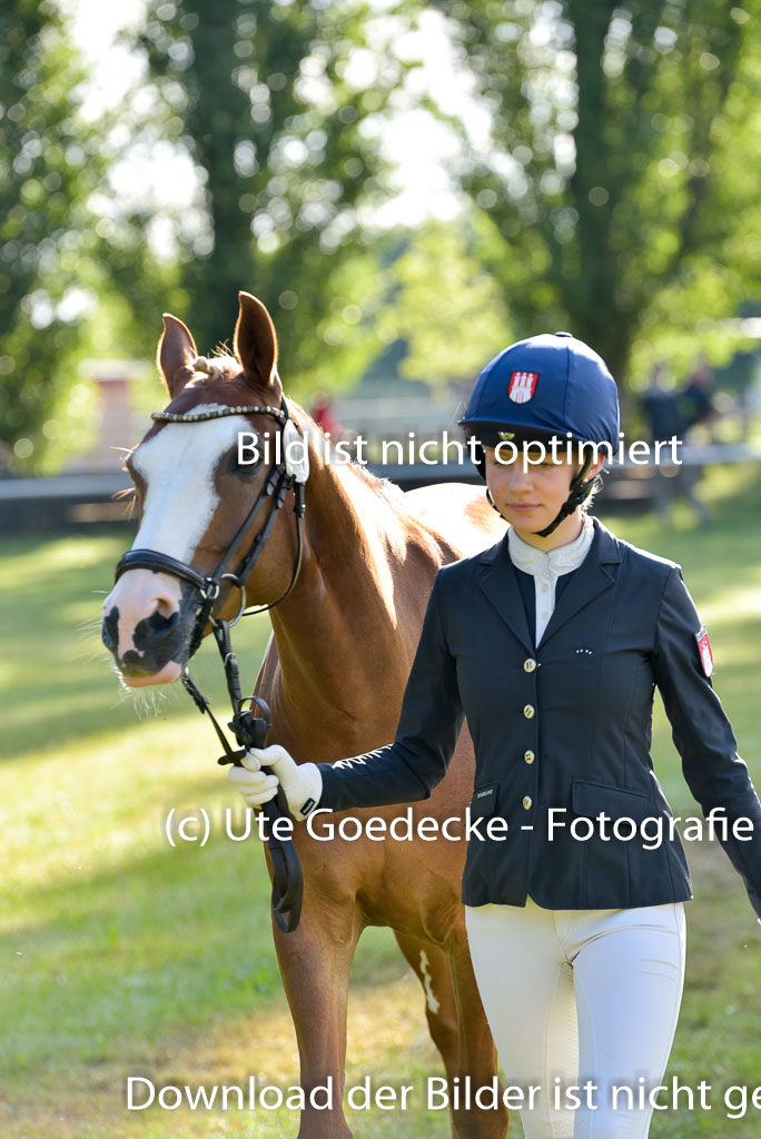 Goldene Schärpe Ponys in Hohenberg Krusemark 2024 | 14072024 Vormustern_004