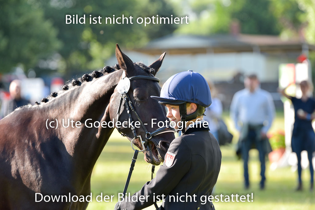 Goldene Schärpe Ponys in Hohenberg Krusemark 2024 | 14072024 Vormustern_005