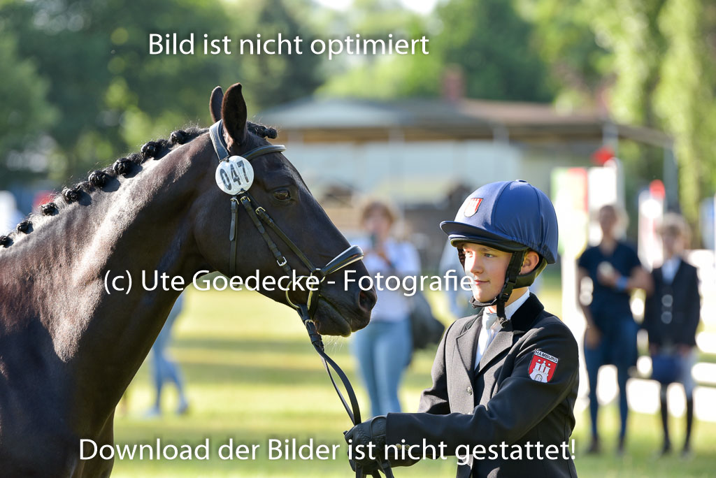Goldene Schärpe Ponys in Hohenberg Krusemark 2024 | 14072024 Vormustern_006