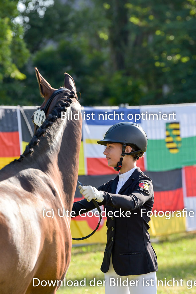 Goldene Schärpe Ponys in Hohenberg Krusemark 2024 | 14072024 Vormustern_007