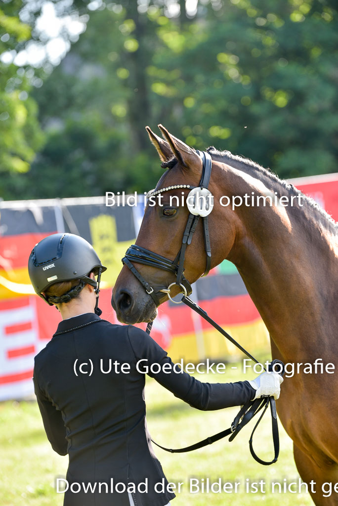 Goldene Schärpe Ponys in Hohenberg Krusemark 2024 | 14072024 Vormustern_010